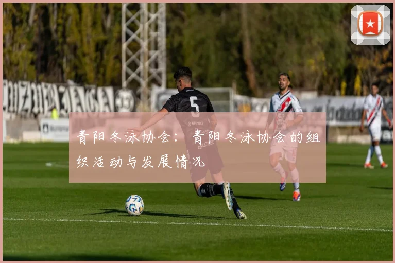 青阳冬泳协会：青阳冬泳协会的组织活动与发展情况