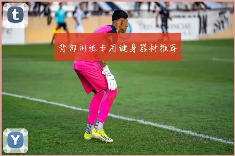 背部训练专用健身器材推荐
