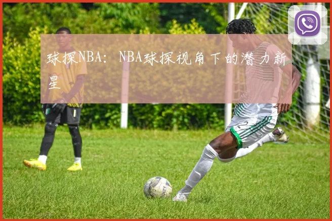 球探NBA:NBA球探视角下的潜力新星