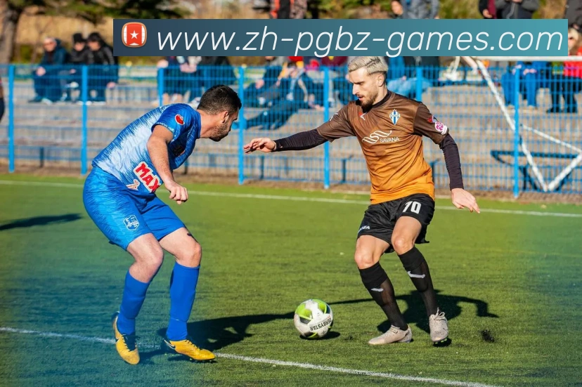 PG电子官方网站平台生态图